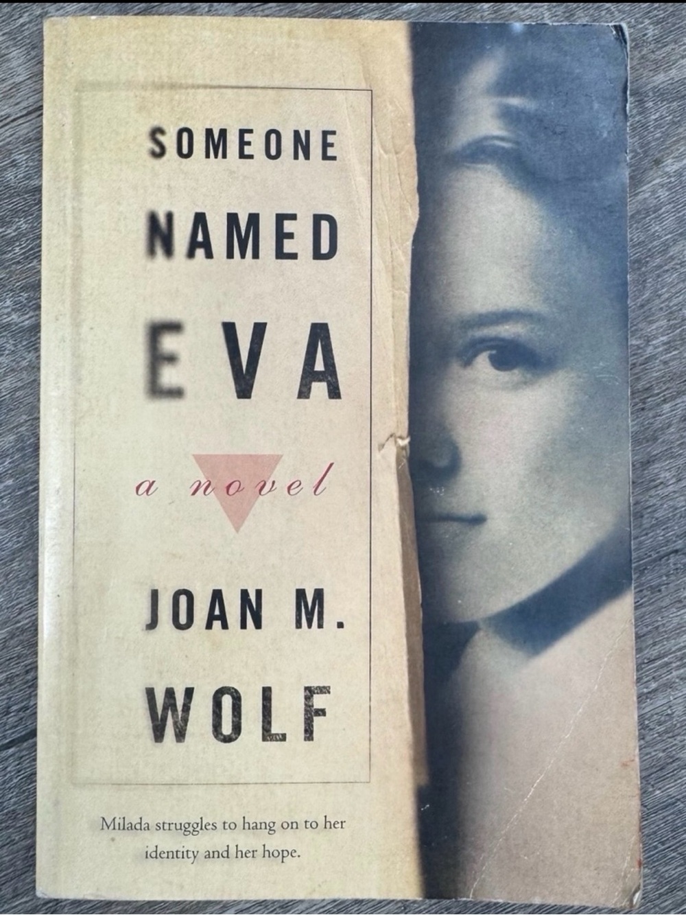 Someone Named Eva by Joan M. Wolf - Historical Fiction Paperback (WWII)
